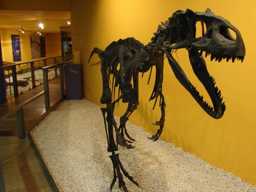 Un nuevo impulso para el Museo Paleontológico de Valencia
