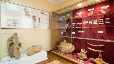 Museo Arqueológico y Paleontológico de Rojales