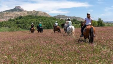 Rural Morella