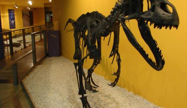 Un nuevo impulso para el Museo Paleontológico de Valencia