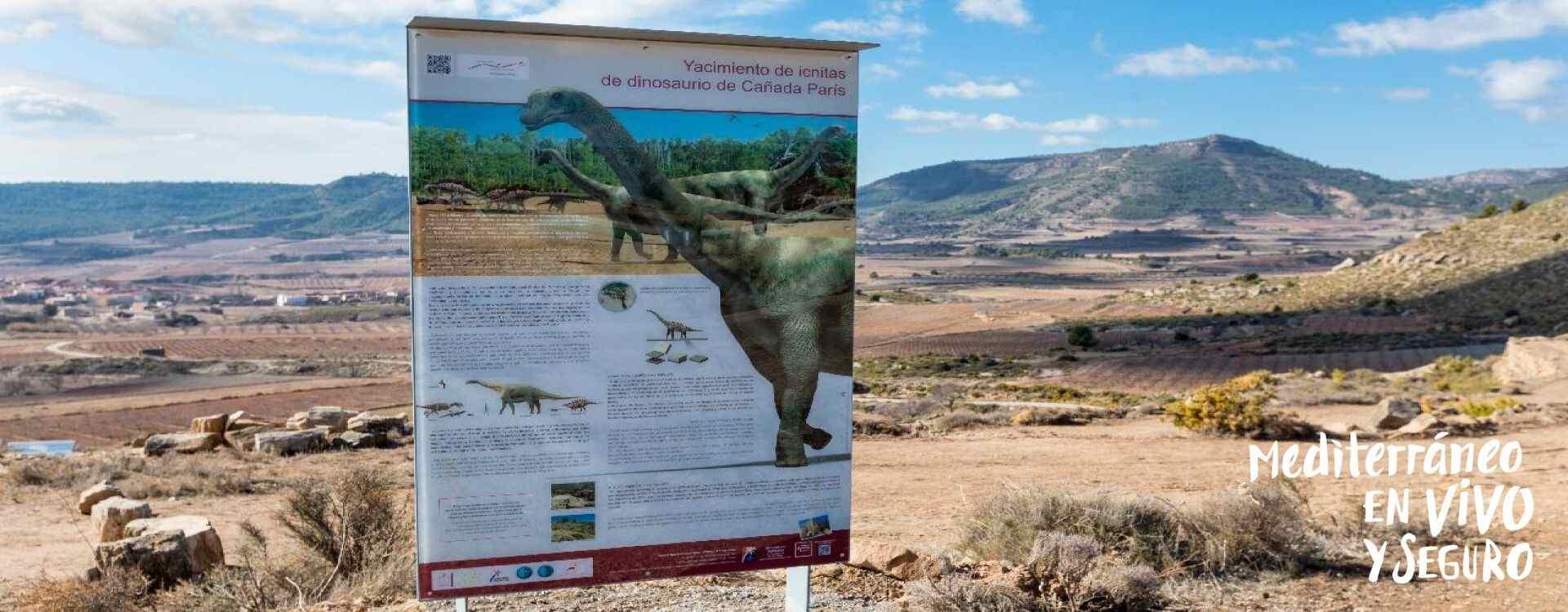 Dinosaur footprint site at Corcolilla